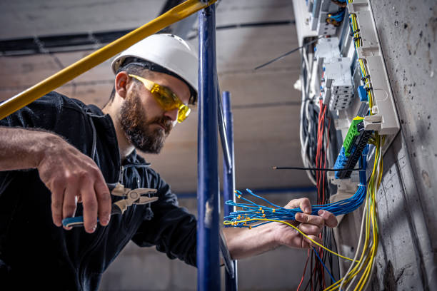 Best Electric Panel Repair  in Belle Plaine, IA